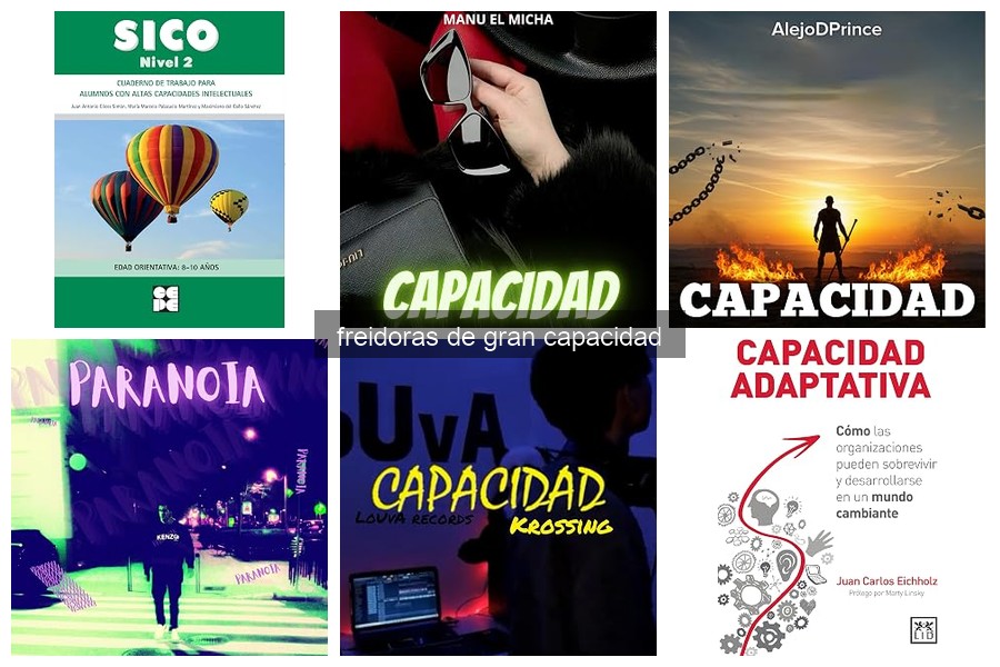Errores comunes al usar freidoras de gran capacidad