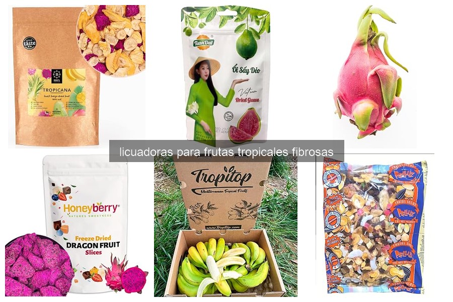 Guía para Elegir la Licuadora Ideal para Frutas Fibrosas
