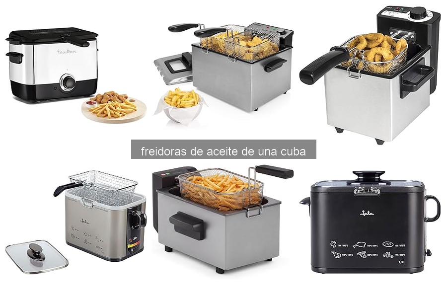 Guía para elegir la mejor freidora de aceite de una cuba