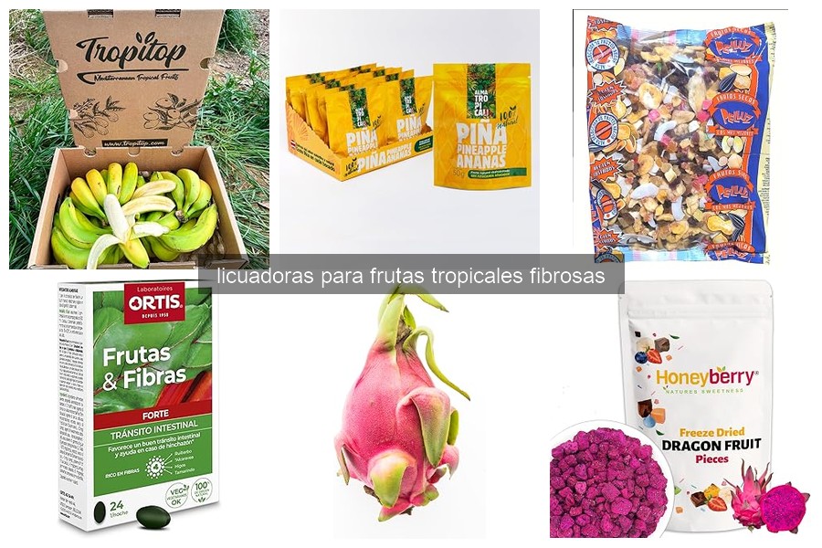Mejores licuadoras para frutas tropicales fibrosas en 2026