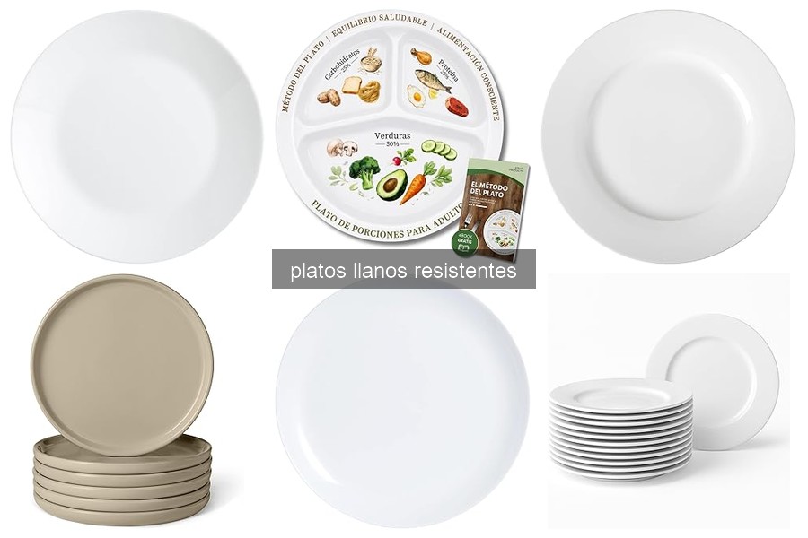 Platos Llanos Resistentes: Características y Ventajas
