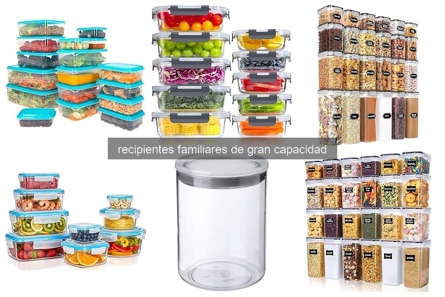Problemas Comunes con Recipientes Familiares de Gran Capacidad